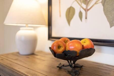 Downtown Luxury Farmhouse Apartment #4 West Dundee Buitenkant foto